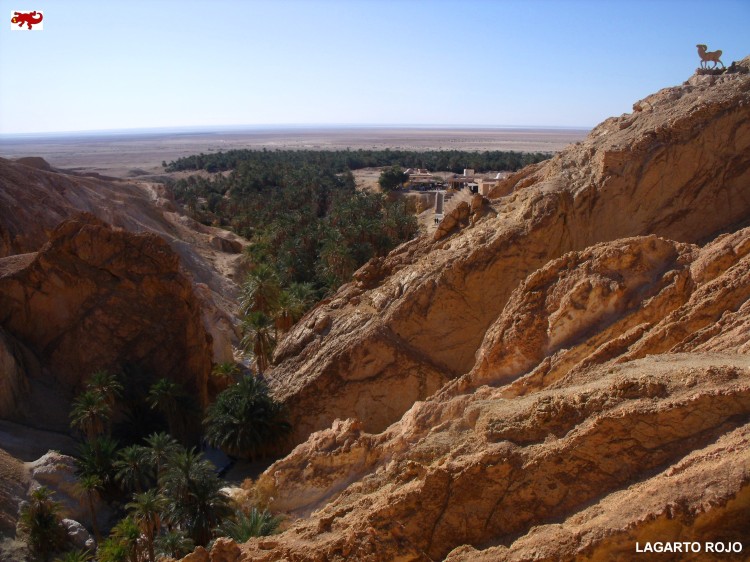Desierto de Túnez